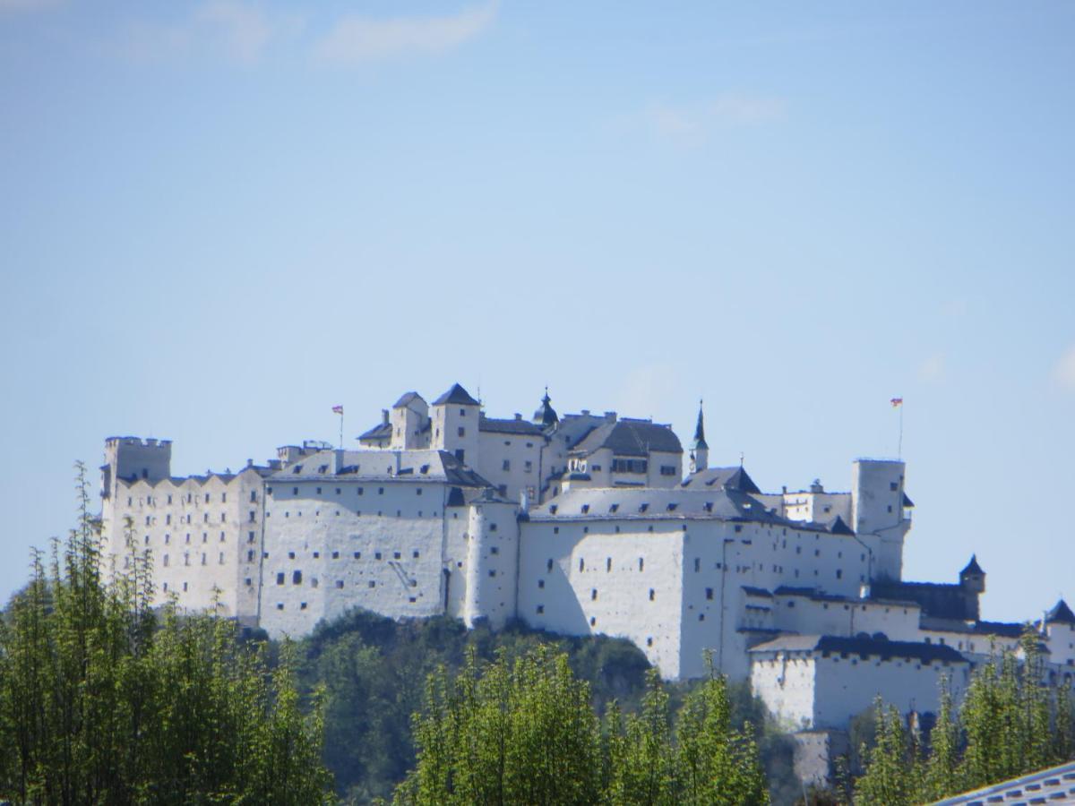 Premium City Apartment Amadeus Salzburg Exterior foto